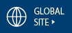 GLOBAL SITE