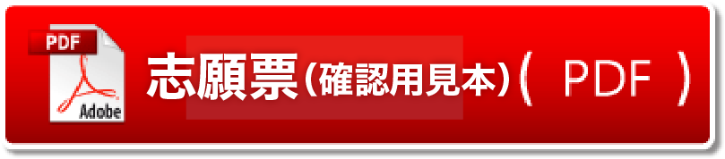 自己推薦書（両面印刷）（pdf)